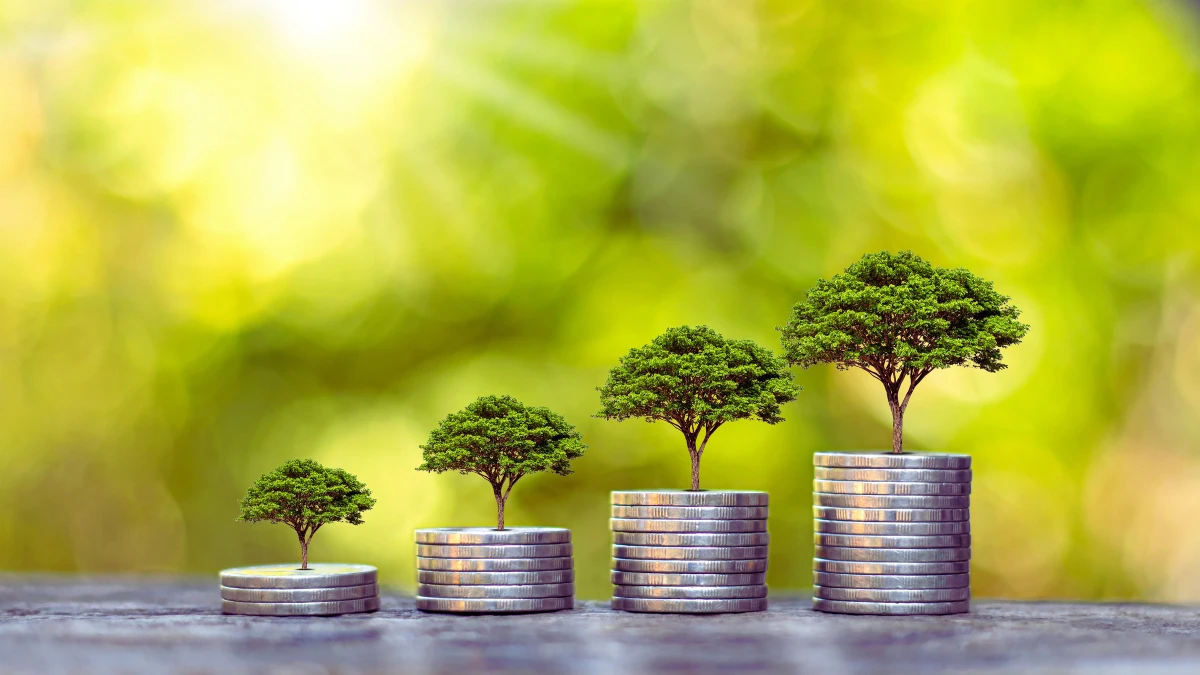Exponential Growth Through Compounding