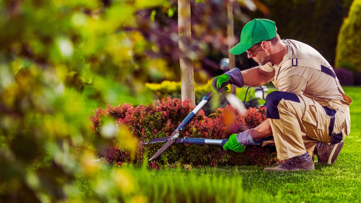 Gardening and Landscaping
