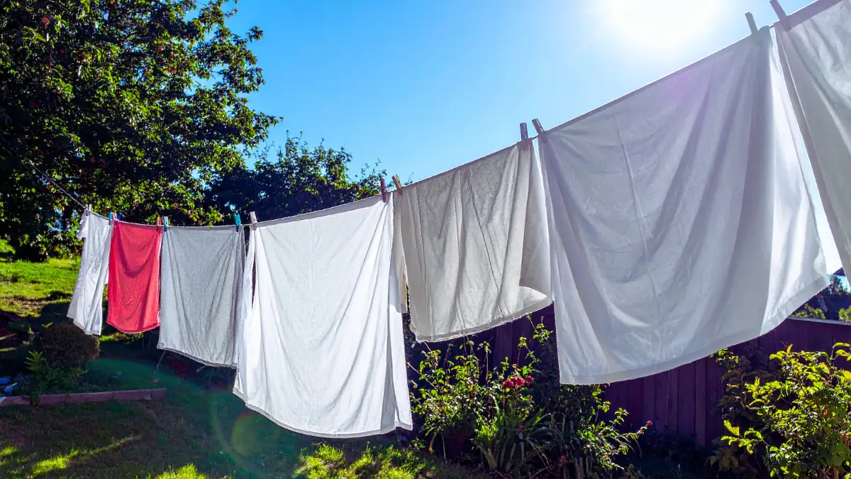 Hang Your Clothes to Dry