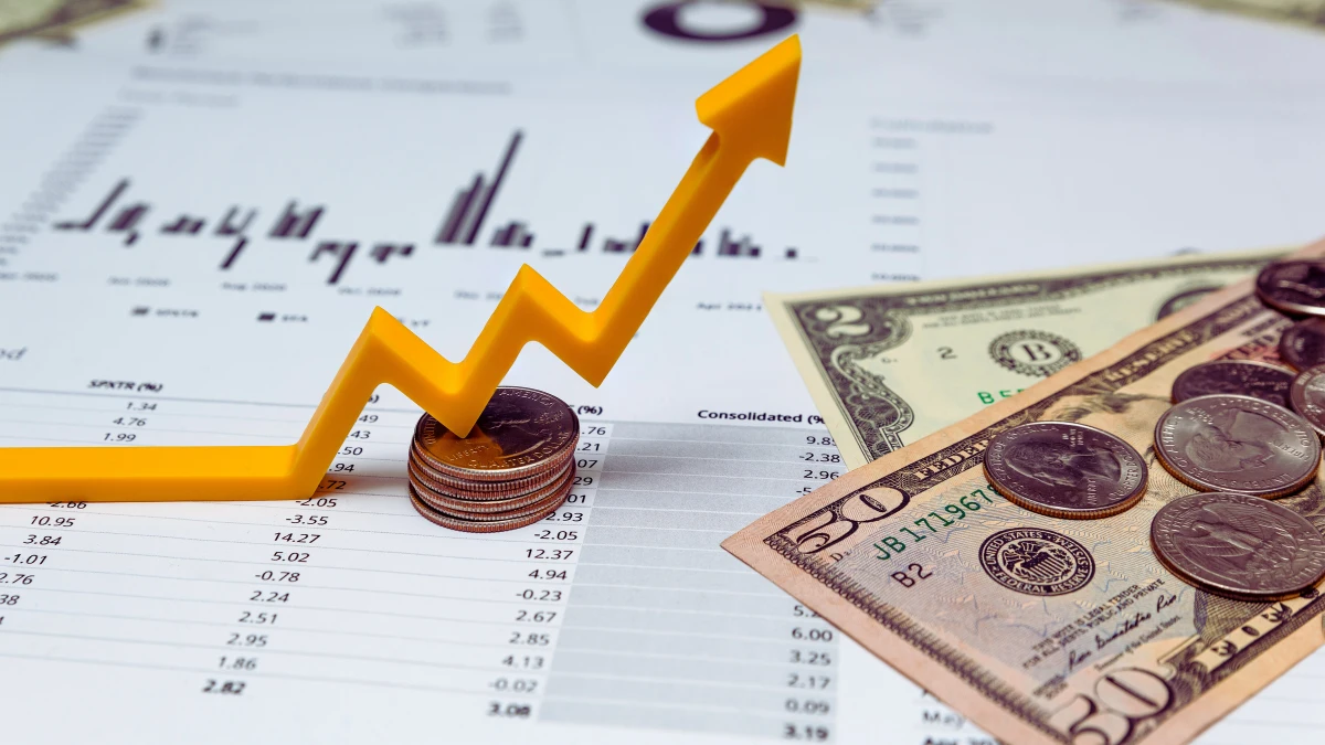 Ideal Investor Profile