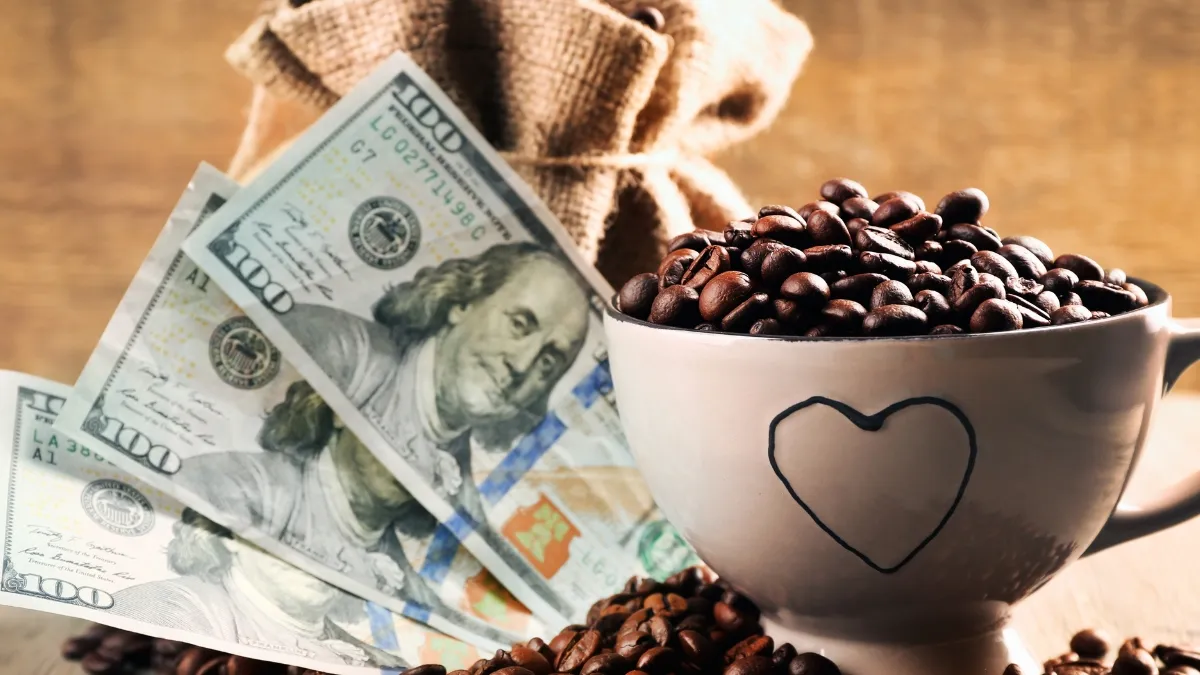 Is the Dollar Losing Its Mojo or Just Catching Its Breath Read the COFER Tea Leaves