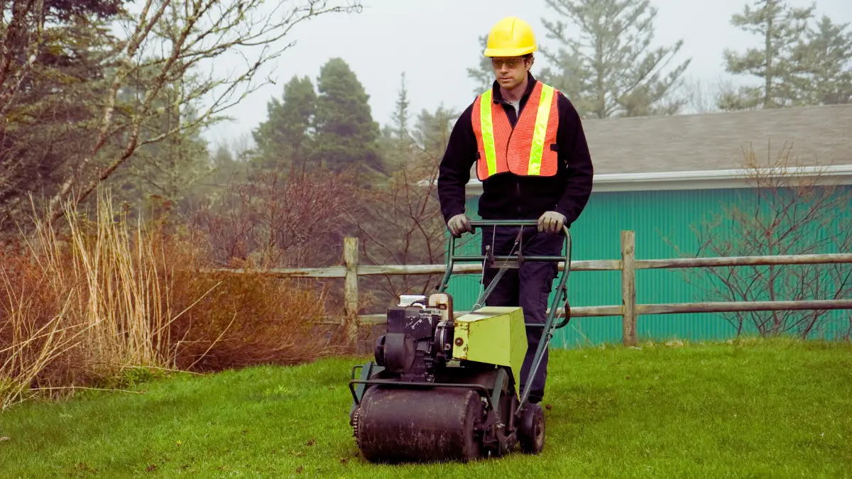 Lawn Care & Landscaping