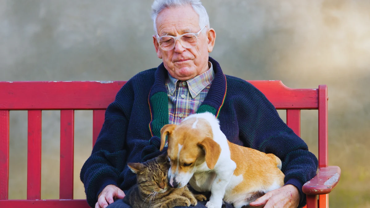 Local Service Businesses (Pet Sitting, Lawn Care, Handyman Work)
