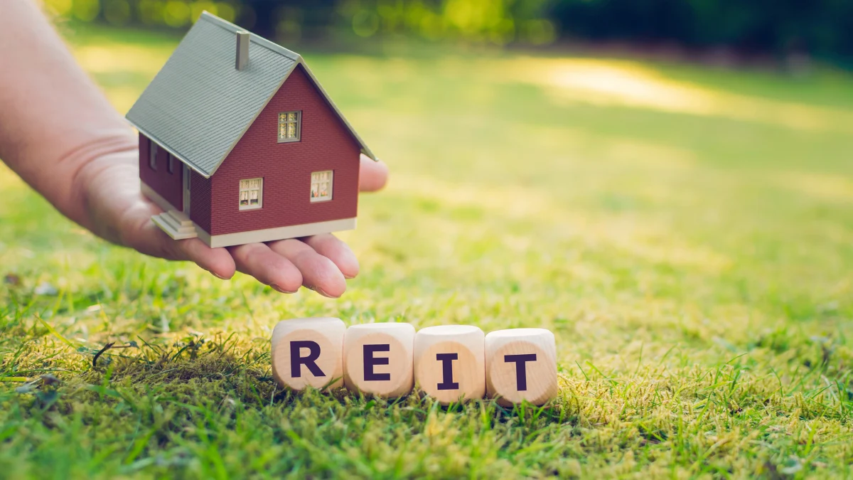 Real Estate Investment (REITs, Rentals)