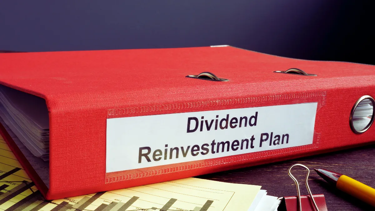 Reinvest All Dividends