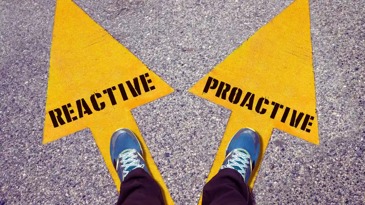 Stay Proactive and Adaptable