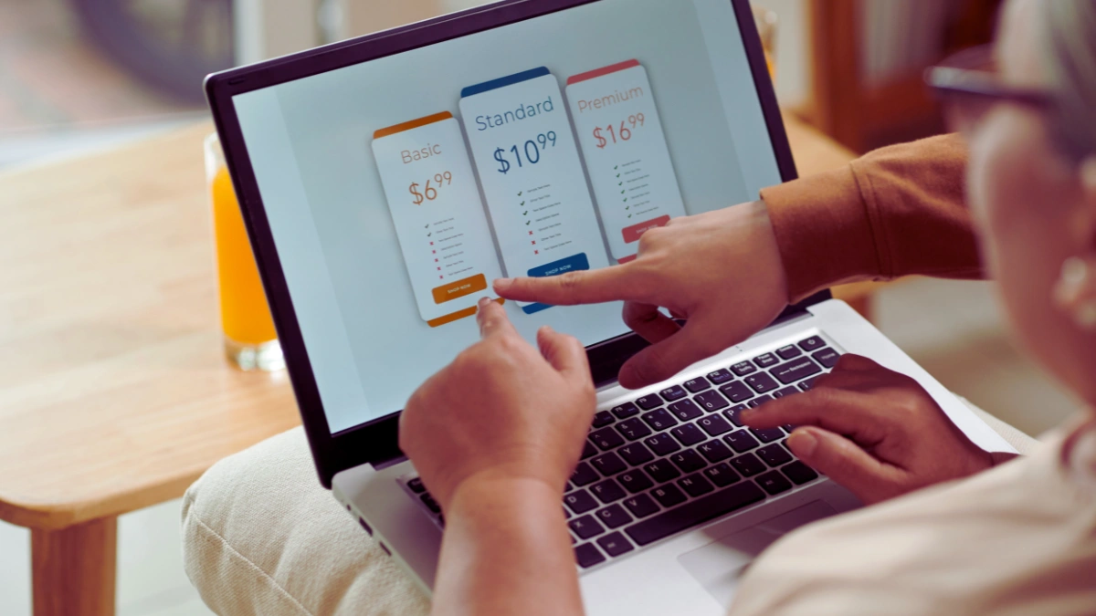 Subscriptions Audit