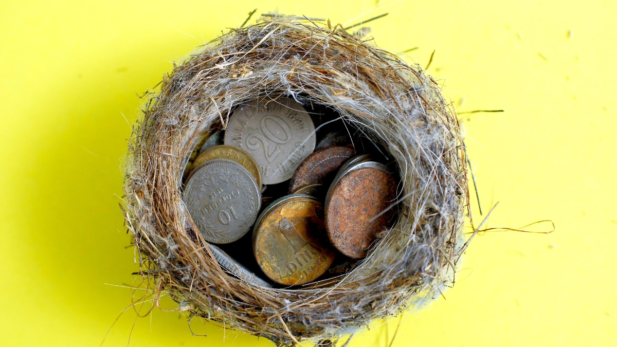 The 13 Inflation-Fighting Strategies I Wish I Knew Sooner: Protecting My Nest Egg in Volatile Times