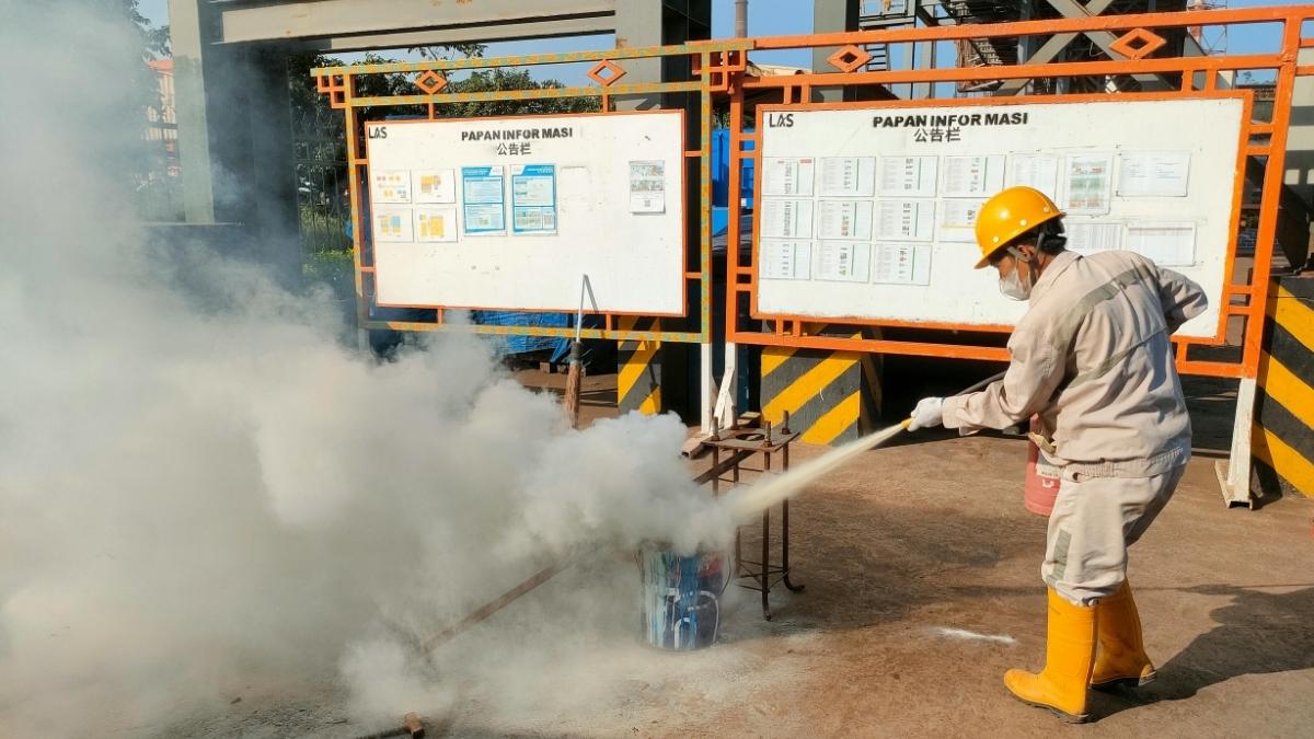 The Actionable Guide: How to Participate Today