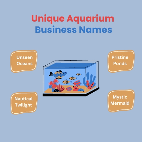 Unique Aquarium Business Names