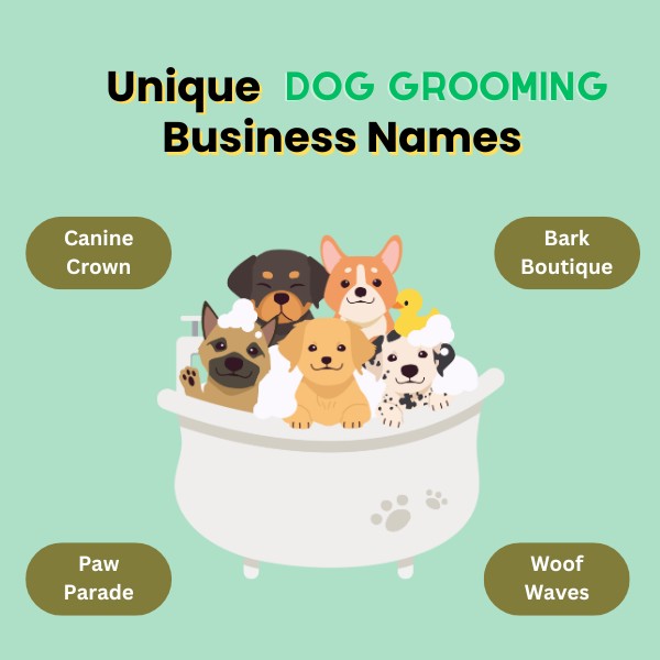 Unique Dog Grooming Business Names