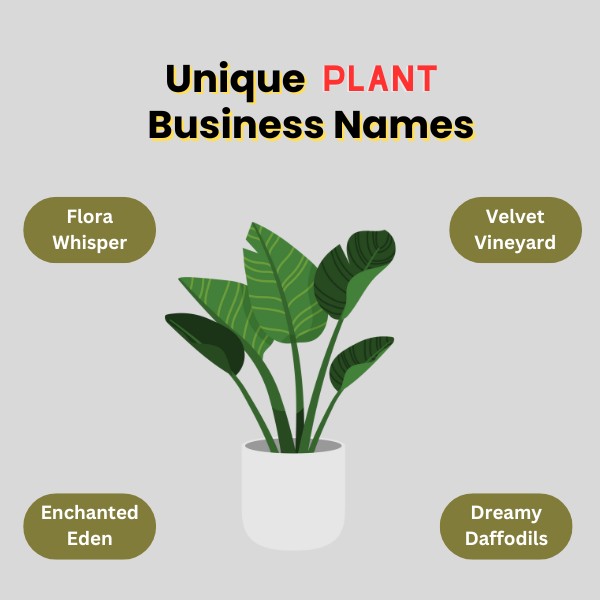 Unique Plant Business Names