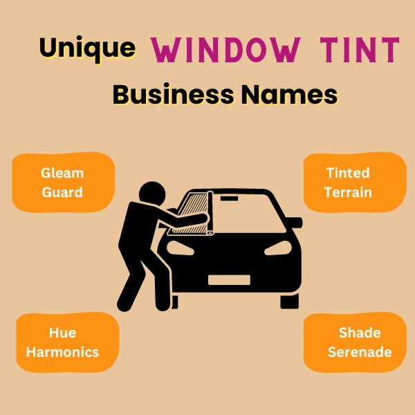 Unique Window Tint Business Names