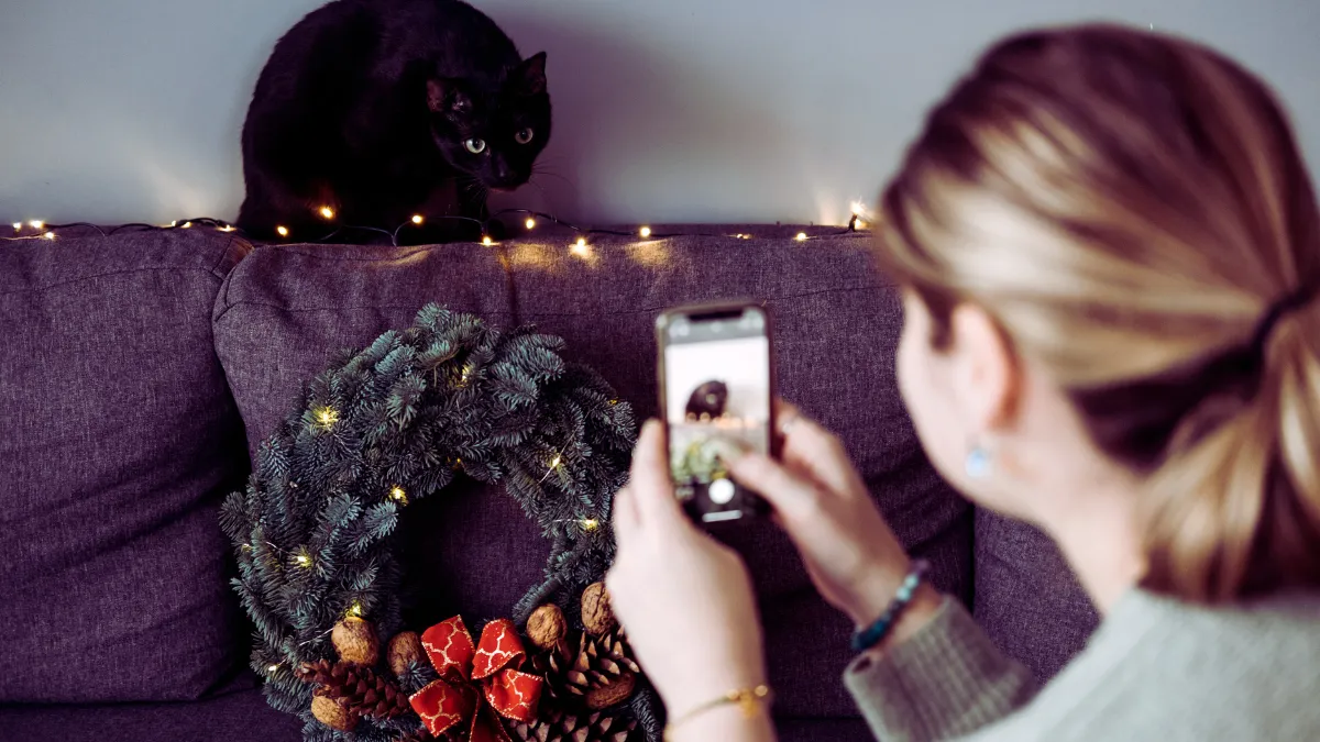 User-Generated Content (UGC) Creator