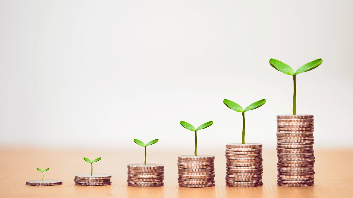 What Is the Dividend Snowball Effect?