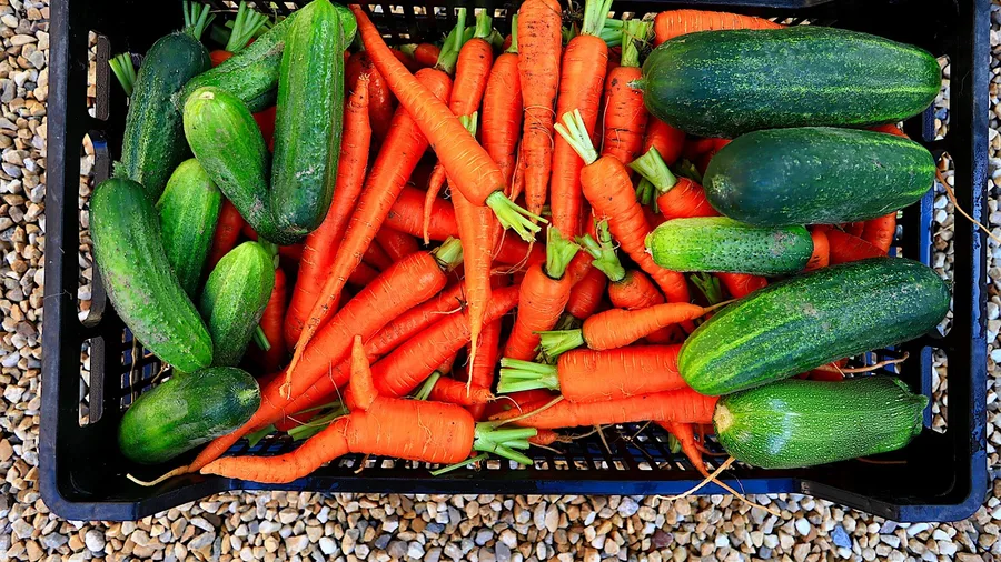 Senior Farmers Market Programs Provide Fresh Produce Vouchers