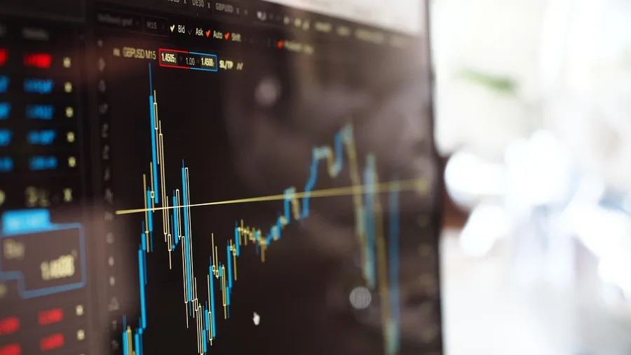 Over-Allocating Retirement Funds to Single Speculative Growth Stocks