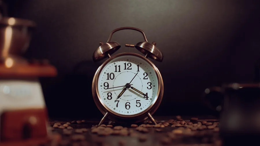 Daily routines lack the structure of a career