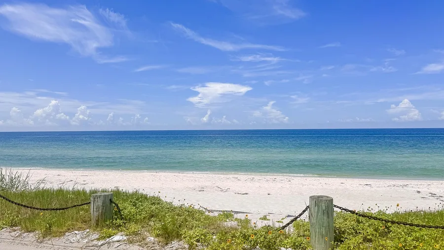 Florida Beaches Offered Sunshine, Not Substance