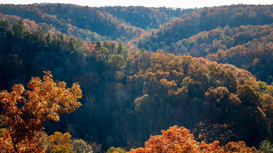 Asheville's Mountains Were Scenic But Too Costly and Remote
