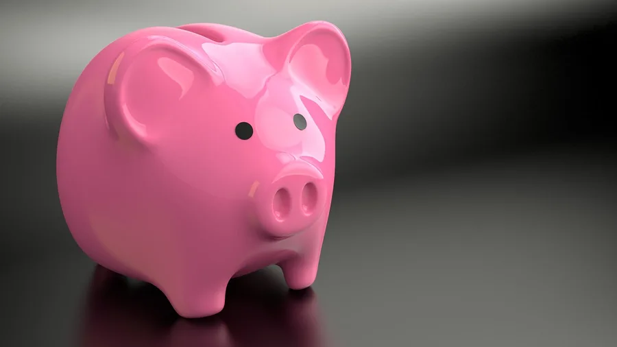 Emergency fund rules changed once income became variable
