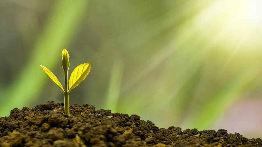 Portfolio Growth Sustains Routine Annual Living