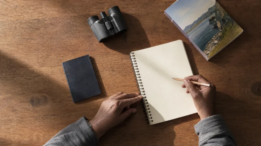 Surplus Returns Fund Discretionary Travel Dreams
