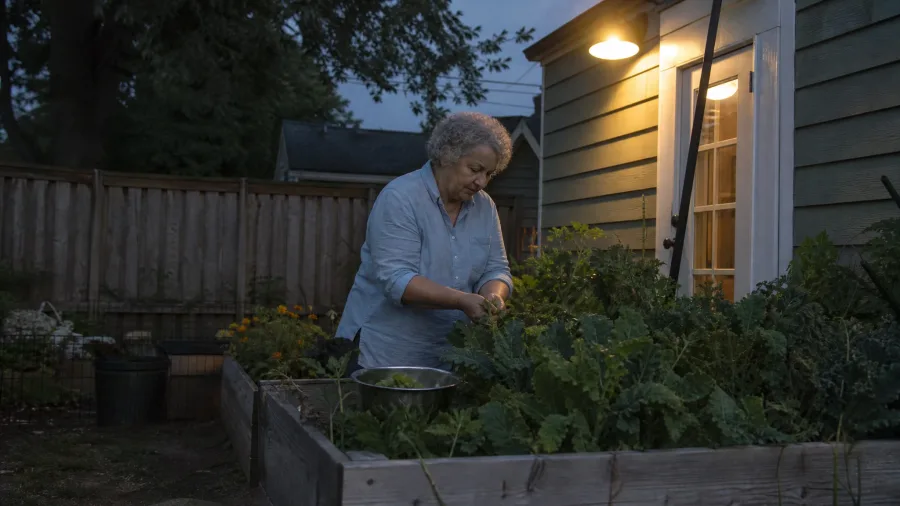 Boutique Urban Gardening Generates High-Margin Produce Sales