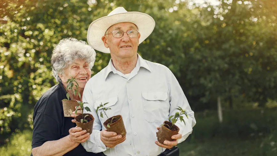 Save 10% on Your Home & Garden Needs