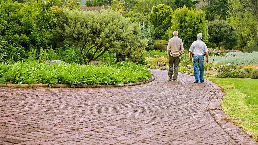 Social Capital Outlasts Material Wealth in Late Retirement