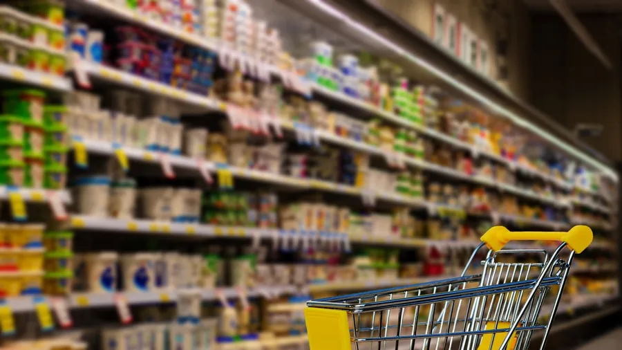 Home Equity Locked in Bricks Cannot Pay Grocery Bills