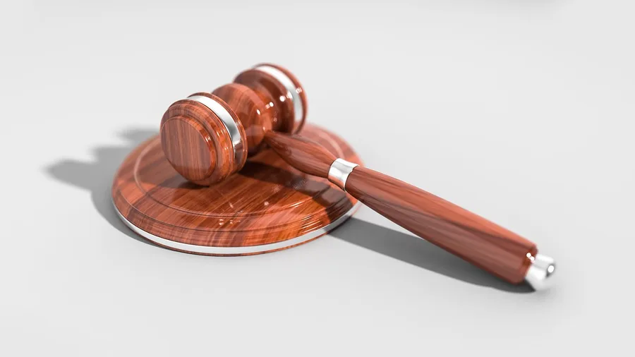 Court-appointed professional guardians charge ongoing estate fees