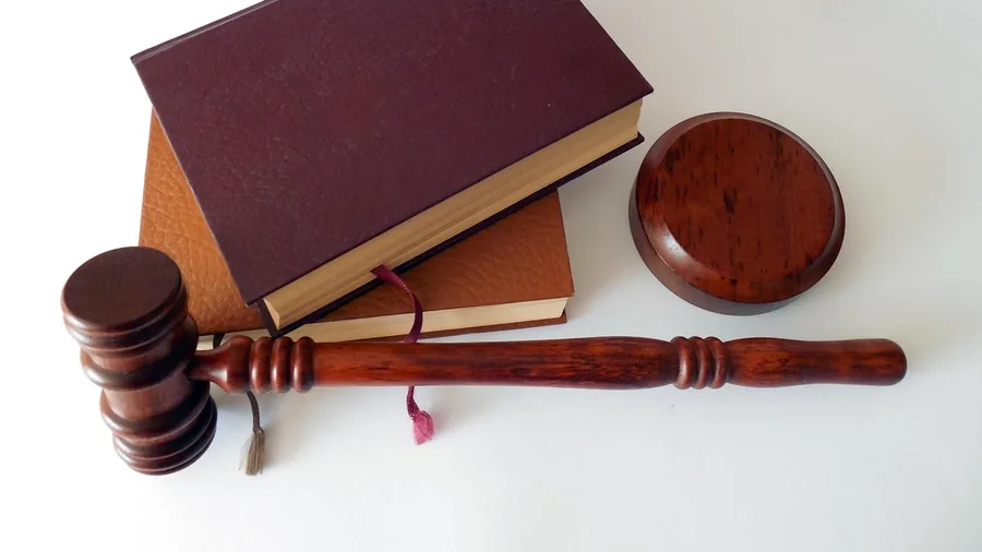 Default state conservatorship strips families of financial control